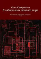 В лабиринтах тёмного мира. Том 2