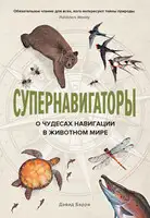 Супернавигаторы