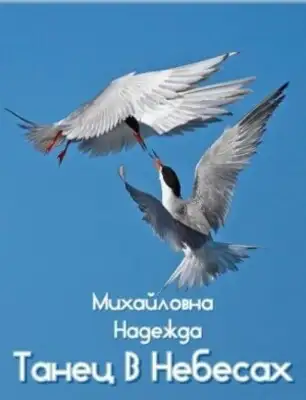 Танец В Небесах