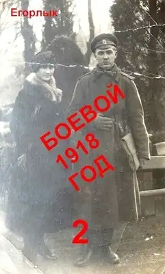 Боевой 1918 год 2