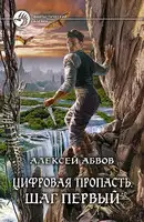 Цифровая пропасть. Шаг первый