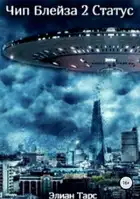 Чип Блейза. Статус