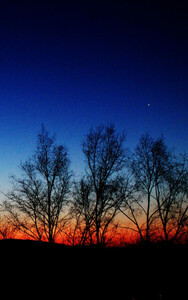 Владимир Букреев