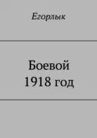 Боевой 1918 год