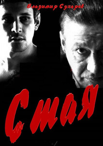 Владимир Сухарев