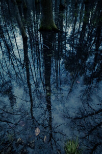 Анастасия Иванова