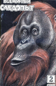 Владимир Белоусов