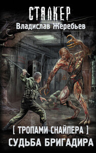 Владислав Жеребьёв