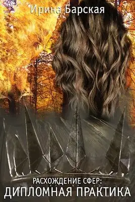 Дипломная практика