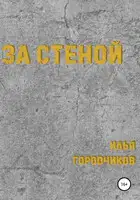 За Стеной