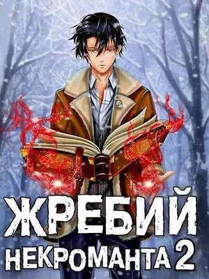 Жребий некроманта 2