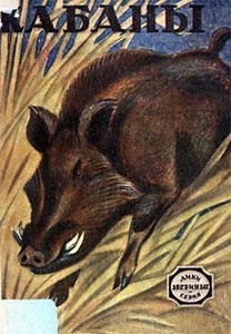 Алексей Романовский