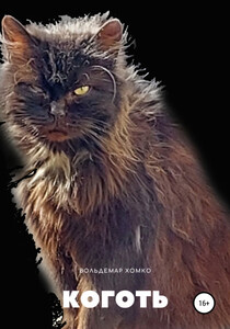 Вольдемар Хомко