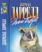 Гончие Бафута