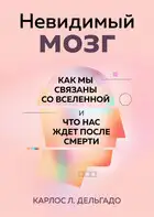 Невидимый мозг. Как мы связаны со Вселенной и что нас ждет после смерти
