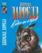 Ковчег на острове