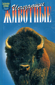 Роберт Мак-Кланг