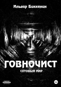 Ильдар Биккенин