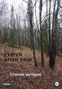 Сергей Брызгалов