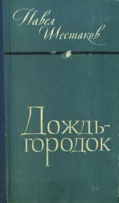 Дождь-городок