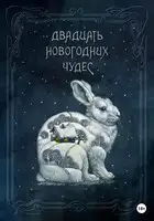 Двадцать новогодних чудес