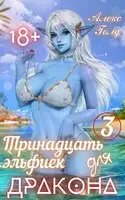 Тринадцать эльфиек для ДРАКОНА (Том-3) 18+