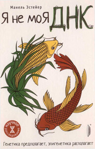 Манель Эстейер