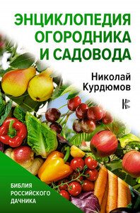 Николай Курдюмов