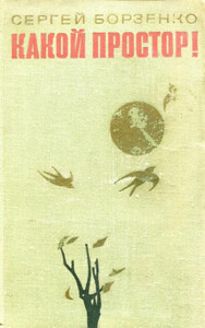 Сергей Борзенко