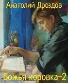 Божья коровка-2