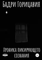 Хроника пикирующего сознания