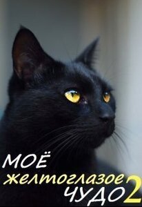 Кира Валарика