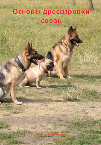 Андрей Сидельников