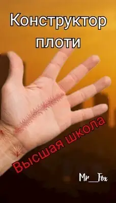 Конструктор плоти 1. Высшая школа