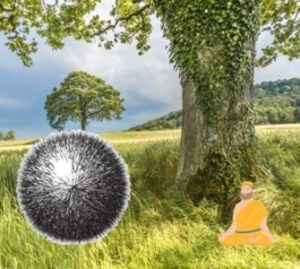 Эдвард Март