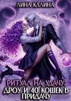 Ритуал на удачу: дроу и 40 кошек в придачу