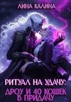 Ритуал на удачу: дроу и 40 кошек в придачу. Книга 2