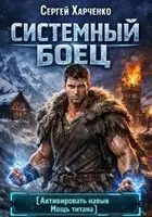 Системный Боец