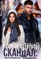 Новогодний скандал: инструкция по выживанию для виноватых