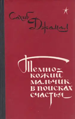 Темнокожий мальчик в поисках счастья