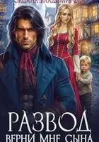 Развод. Верни мне сына