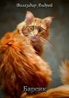 Барсик - житель трущоб